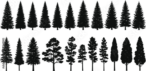 Tree silhouette vector set, conifer and deciduous shapes, forest illustration, botanical tree icons, nature design elements, black foliage collection