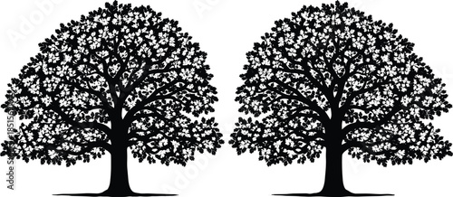 Twin oak tree silhouettes vector illustration, detailed leafy trees pair, black and white nature landscape design isolated on white background