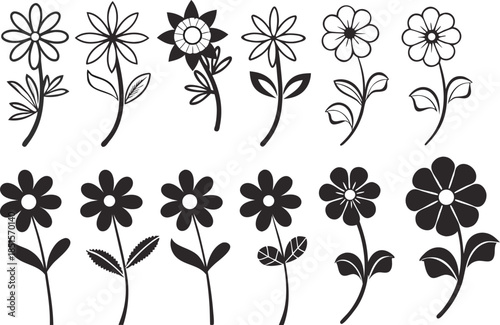 Black and white line flowers with leaves on stems petals