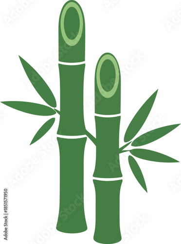 Vector illustration of bamboo stalks with leaves on a white background