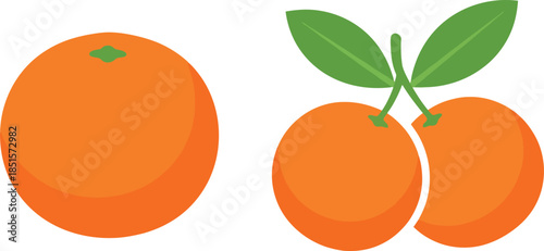 Vibrant oranges symbolizing prosperity during Chinese New Year celebration in a lunar-themed illustration