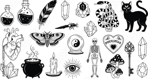 Occult witchcraft vector icon set, mystical gothic symbols including crystals potions skulls cat snake moon, black and white esoteric illustration for tattoo, decor, branding