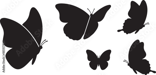 Silhouettes of five black butterflies on white background