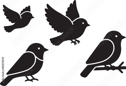 Four black silhouette birds on white background