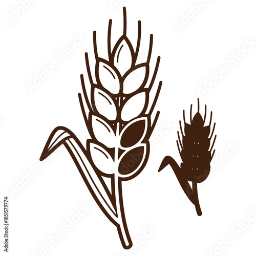Illustration of wheat stalks and grains agricultural symbols nature design elements simple line art style