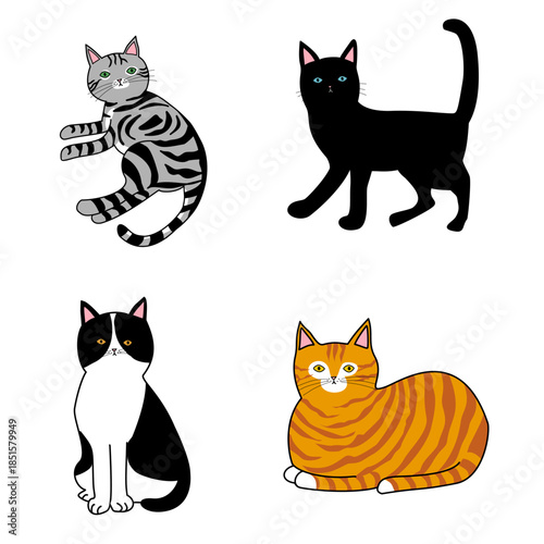 set of funny cats