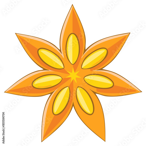 Cartoon Star Anise Spice Orange and Yellow Illustration