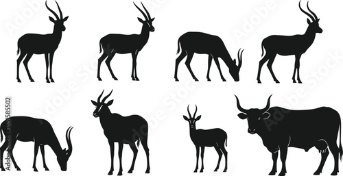 Horned animal silhouette, antelope and bull vector, wildlife comparison chart, black design, zoology illustration, mammal species lineup, nature concept