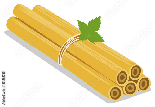 Bundle of fresh raw sugar cane stalks with a green leaf garnish vector illustration
