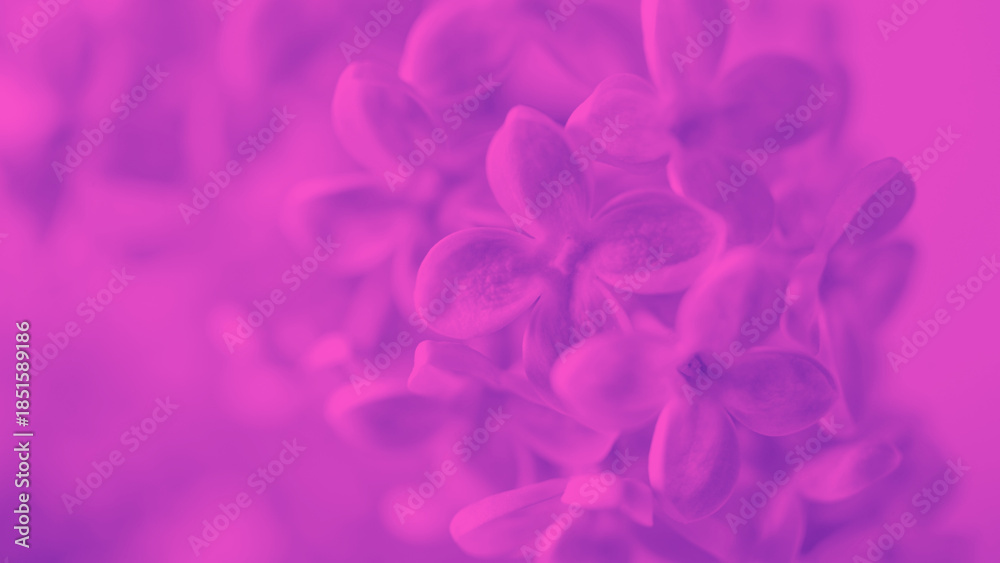 Obraz premium Plant images for wallpaper, background, web design, and office 