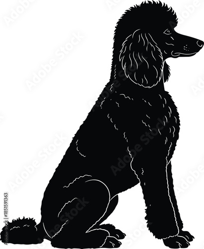 Vector Silhouette of a Standard Poodle Dog in a Traditional Continental Clip, Sitting Attentively, Representing Elegance, Grooming, and Pedigree.