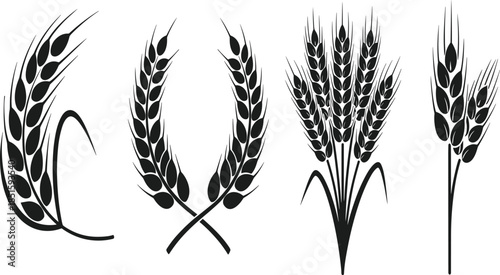 Wheat ears silhouette vector illustration set, agriculture grain symbols collection, harvest cereal crop icons, farming nature design, isolated black elements