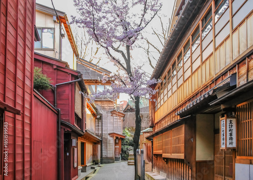 Tableau sur toile 金沢・主計町の茶屋街と路地に咲く桜 / Cherry Blossoms and Traditional Wooden Houses in Kazue-machi