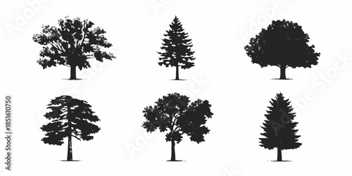 Silhouettes of diverse trees a graphic collection of forest foliage