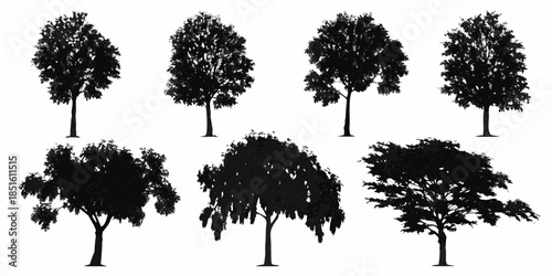 Silhouettes of various trees isolated on a white background