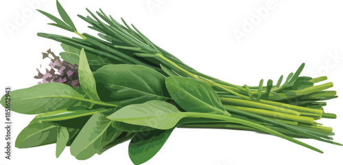 Bunch of Fresh Culinary Herbs with Rosemary, Chives, and Sage Isolated on White Background