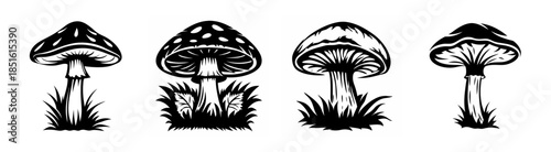 Four distinct black and white toadstool illustrations growing in grass detailed fungal forms