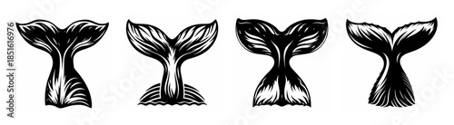 Four distinct whale tail designs showing fin details and textures for nautical themed projects