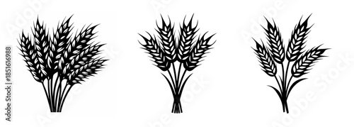 Three detailed wheat stalk bundles collection agricultural harvest symbol artwork
