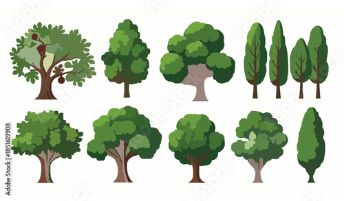 Stylized green tree and fig tree vector set with fresh foliage isolated on white