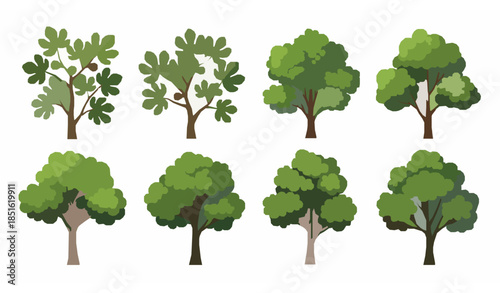 Vector collection of green trees including fig trees with ripe fruit isolated on white background