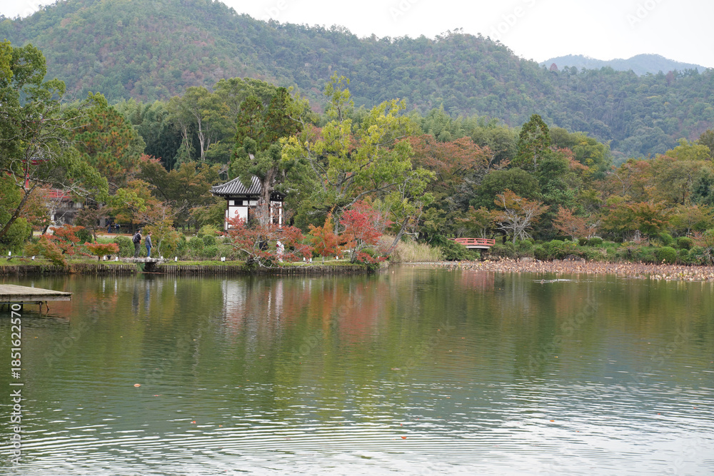 Fototapeta premium 京都大覚寺大沢池の周囲の風景