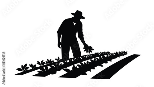 Silhouette of a farmer inspecting crops while standing in a plowed field under bright sunlight