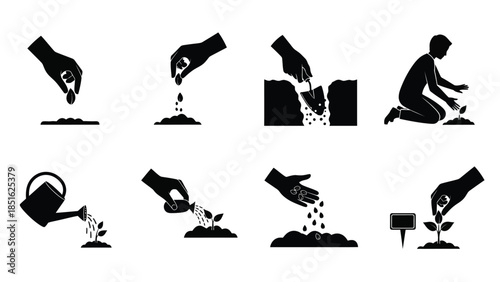 Black and white icons illustrating the step by step process of planting seeds and nurturing a young sprout
