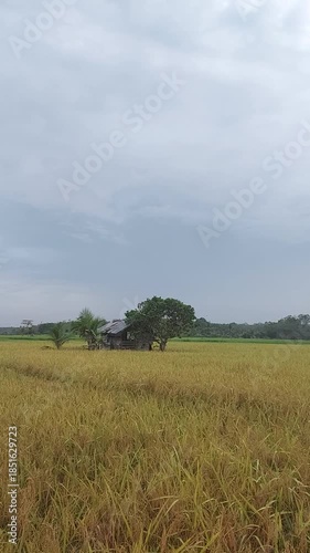 green field and clouds