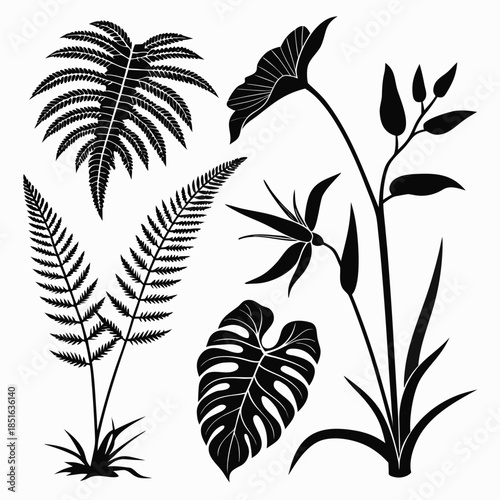 Black and white botanical silhouettes