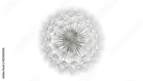 Close up macro shot of a delicate dandelion seed head.