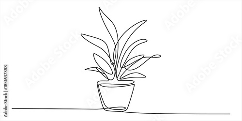 Continuous line art drawing of a houseplant in a pot with minimalist style Vector, illustration