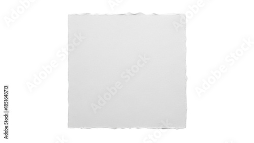 Wallpaper Mural Textured paper sheet isolated PNG on transparent background, blank torn edge paper for graphic design and creative projects Torontodigital.ca