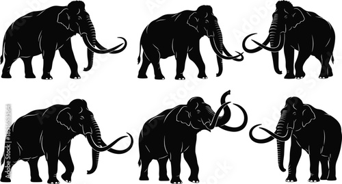 Collection of woolly mammoth silhouettes in different walking and standing poses, prehistoric elephant animal extinct icons isolated on white background for design