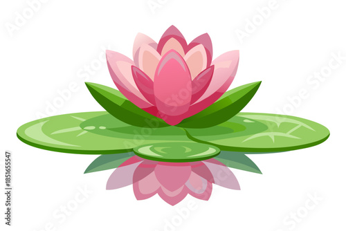 pink lotus flower isolated