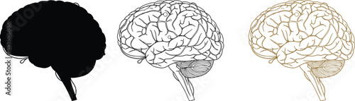 Spice rack with various colorful spices in glass jars is displayed.