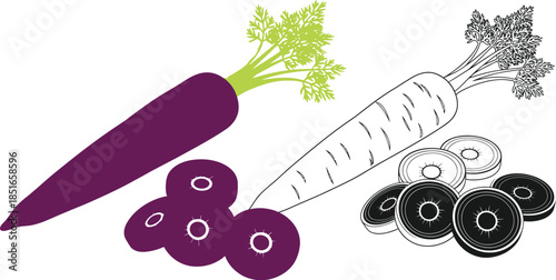 A purple carrot and a sketched carrot with sliced pieces are displayed.