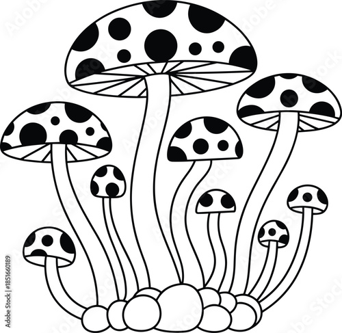Black and white spotted mushrooms growing in a cluster