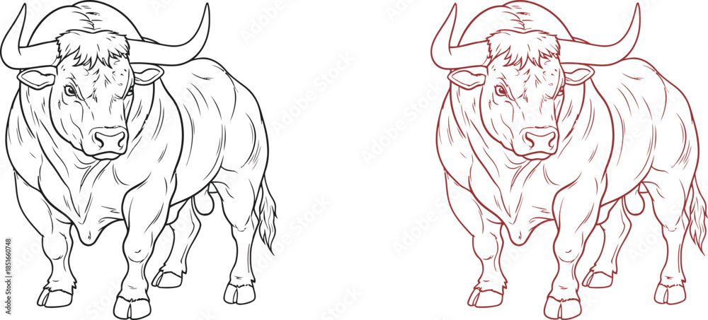 Fototapeta premium A powerful bull stands stoically with large horns and muscular build.