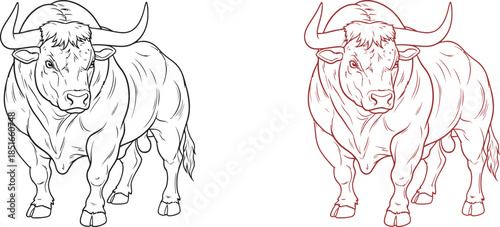 A powerful bull stands stoically with large horns and muscular build.