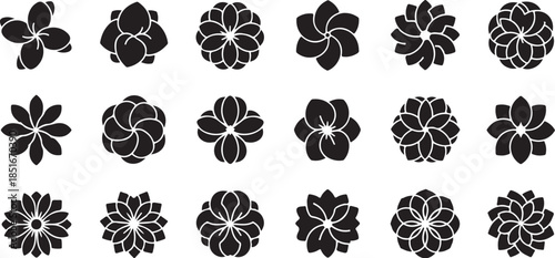 Elegant black floral icons set for design projects
