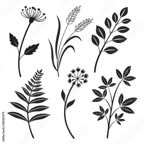 Botanical Icons Collection  Clean Flat Vector  Pur (2) Vector Illustration