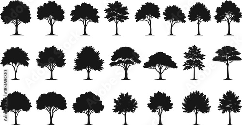 Collection of Silhouetted Trees with Varied Foliage and Trunk Structures nature plant