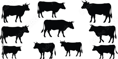 Group of Black Silhouette Cows in Different Poses on White Background cattle bovine