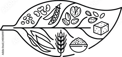 Plant-based Protein Sources Icon Vector Graphic Set