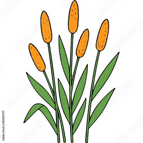 Vibrant Cattails illustration with green stalks and orange heads