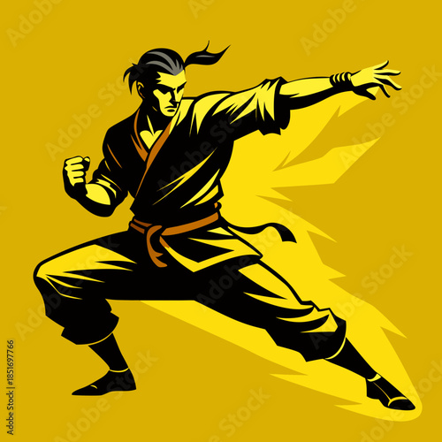 Martial Artist Silhouette Performing Powerful Fighting Pose