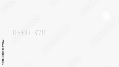Abstract soft white background with subtle light circle and text tranquil state