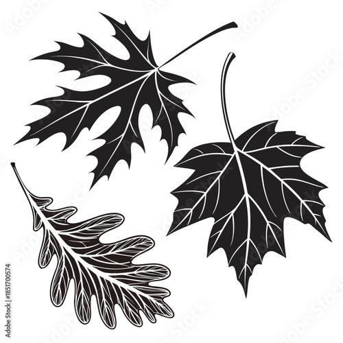 Black and white leaf silhouettes