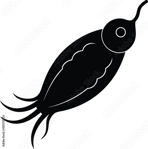 Euglena silhouette vector art Illustration